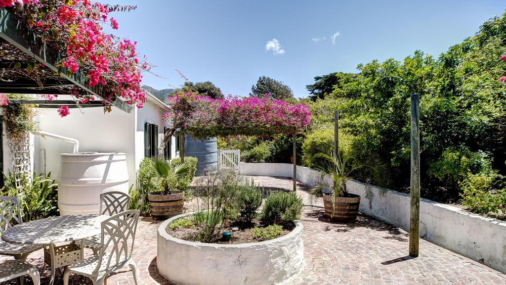 Little Paradise Noordhoek Extérieur photo